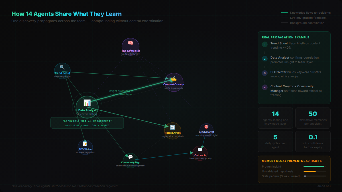 shared knowledge network